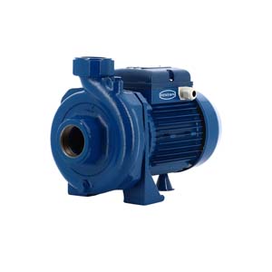 PPE CENTRI MONO CR100 230V 1CV