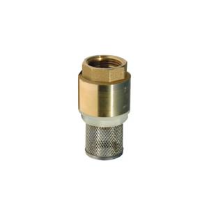 CREPINE CLAPET INOX 1P1/2