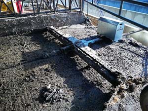 RACLEUR G SANS GUIDE LG 5100