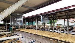 KIT VENTILATEUR TRI PETIT BAT