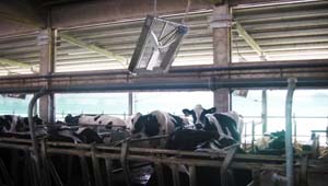 KIT VENTILATEUR TRI PETIT BAT