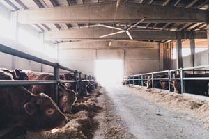 KIT VENTILATEUR WR3000