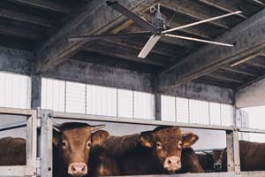 KIT VENTILATEUR WR3000