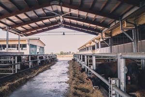 KIT VENTILATEUR WR3000