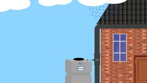 COLLECTEUR DE GOUTTIERE (P)